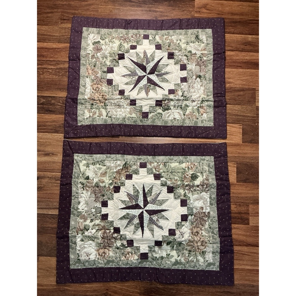 Pair Of JCP Star Design Farmhouse Quilted Standard Pillow Shams Wine Green Beige